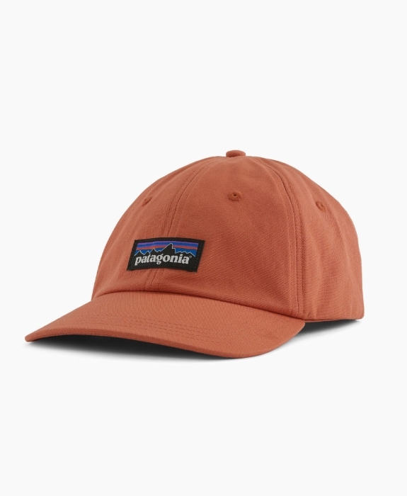 Patagonia - P-6 Label Trad Cap