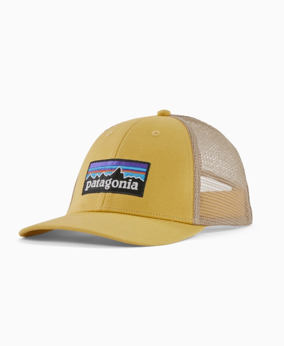 Patagonia - P-6 Logo LoPro Trucker Hat