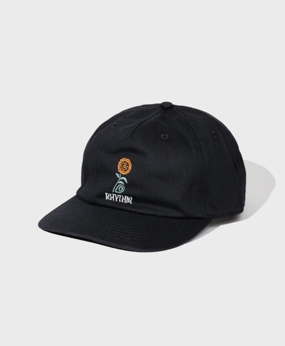Rhythm - Protea Cap