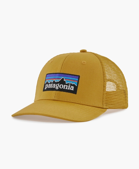 Patagonia - P-6 Logo Trucker Hat