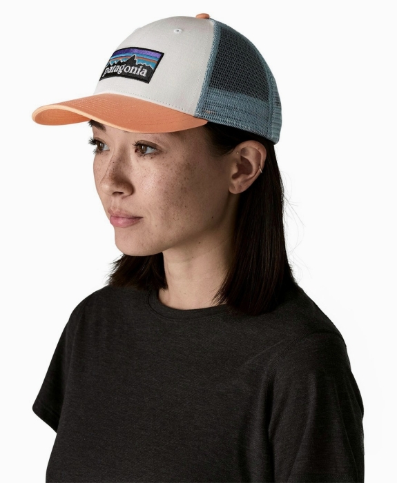 Patagonia - P-6 Logo LoPro Trucker Hat