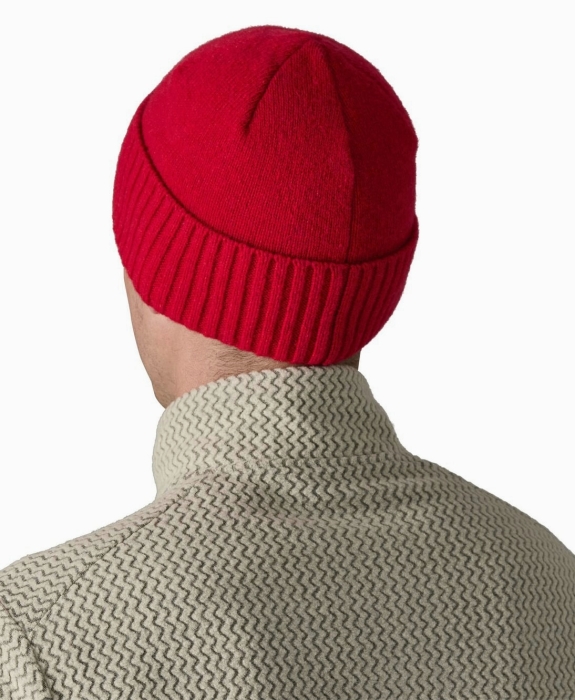 Patagonia - Brodeo Beanie